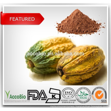 100% Natural Cocoa extract/10% 20% Theobromine/Cocoa polyphenols